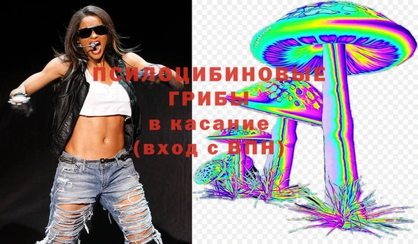 синтетический гашиш Елизово