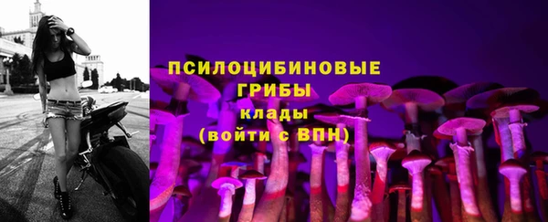 синтетический гашиш Елизово