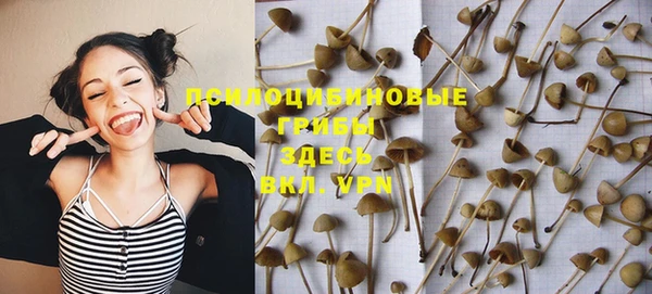 синтетический гашиш Елизово