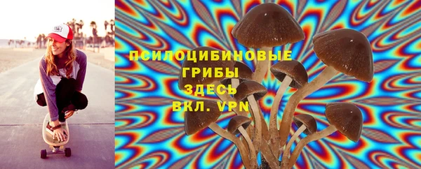 синтетический гашиш Елизово
